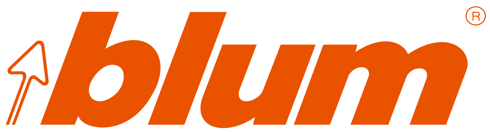 01.BLUM